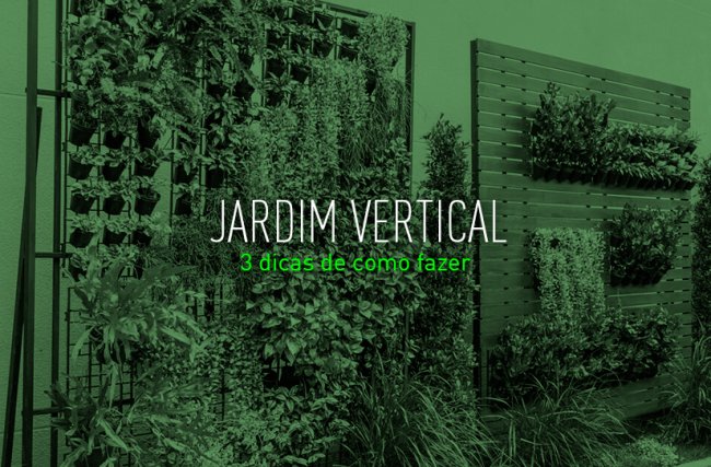 3 dicas de como fazer um jardim vertical
